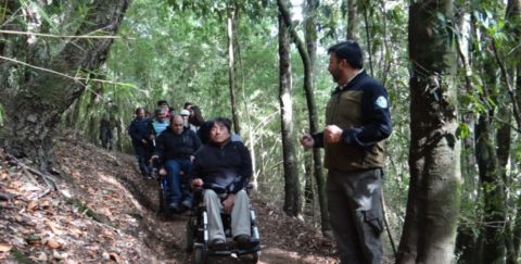 trilha inclusiva 480x243 - Inclusão no turismo: Chile inaugura primeira trilha inclusiva